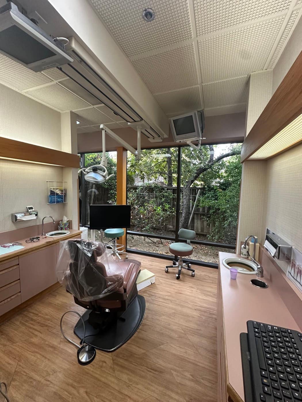 A bright treatment room with a window onto the trees